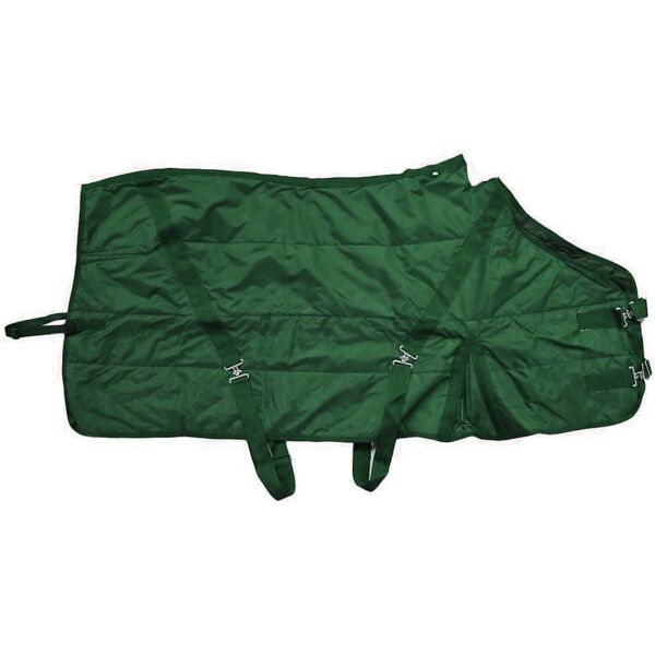 Horse Blanket (COG) Thumbnail